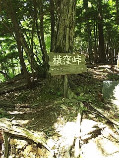 2016-07-11 10.10.16.jpg
