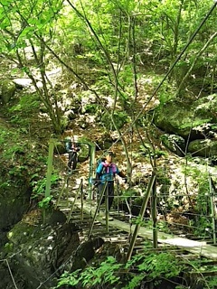 2016-07-11 11.38.34.jpg