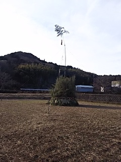 2017-01-06 08.50.44.jpg