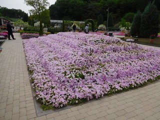 2017-05-09 07.30.10.jpg