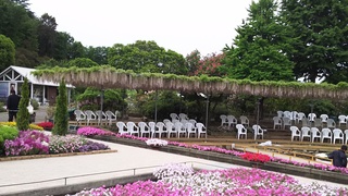 2017-05-09 07.35.20.jpg