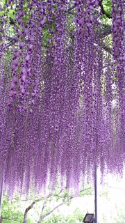 2017-05-09 08.50.21.jpg