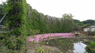 2017-05-09 09.52.41.jpg