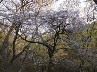 2018-04-03 16.32.36.jpg