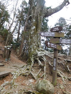 2018-04-05 14.54.27.jpg