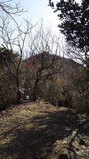 2019-01-24 10.34.16.jpg