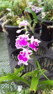 2019-06-22 15.25.57.jpg