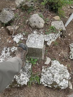 2020-05-22 14.36.55.jpg