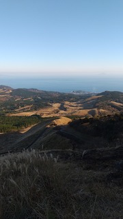 2020-12-07 14.51.41.jpg