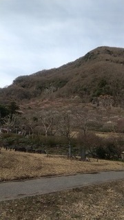 2021-03-04 15.05.06.jpg