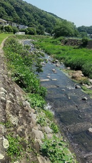 2021-06-10 10.18.50.jpg