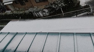 2022-02-10 14.49.36.jpg
