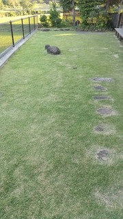 2022-05-29 17.50.37.jpg