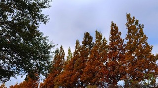 2022-11-21 11.12.24.jpg