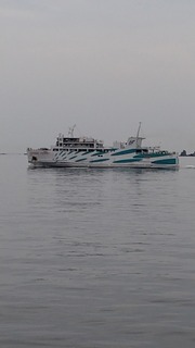 2023-06-27 11.17.09.jpg