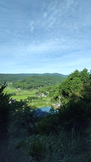 2023-07-02 07.15.44.JPG