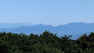 2023-07-02 08.39.58.jpg
