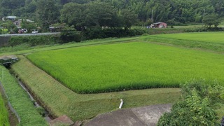 2023-07-03 07.04.20.jpg
