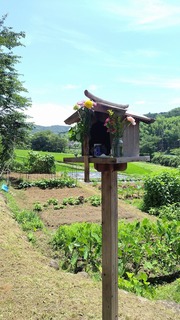 2023-07-03 11.08.12.jpg