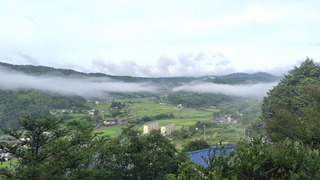 2023-07-05 06.42.05.jpg