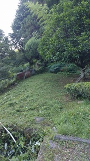 2023-07-16 17.06.39.jpg