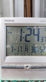 2023-07-17 13.24.36.jpg