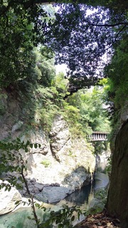 2023-07-21 13.49.55.jpg