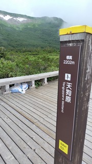2023-07-31 12.45.40.jpg