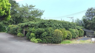 2023-08-20 13.25.22.jpg