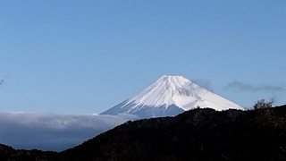 230211081009962.jpg