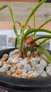 230220121038440.jpg
