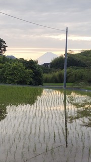 230604182339557.jpg