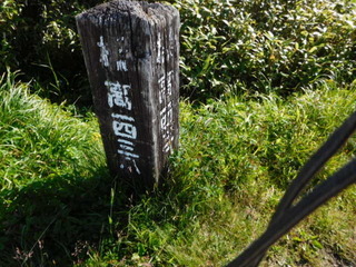 DSCN0032.JPG