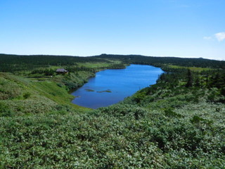 DSCN0064.JPG