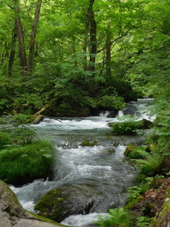 DSCN0205.JPG