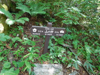 DSCN0252.JPG