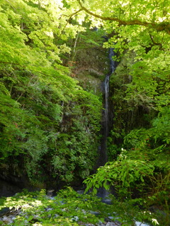 DSCN2139.JPG