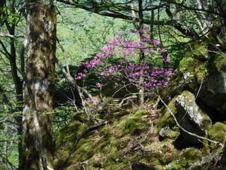 DSCN2196.JPG