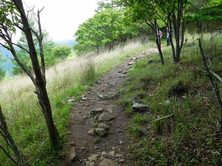 DSCN3227.jpg
