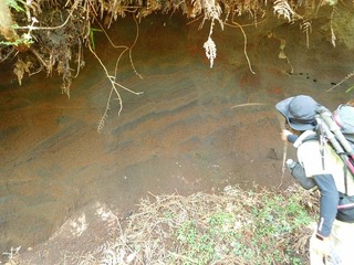 DSCN3323.jpg