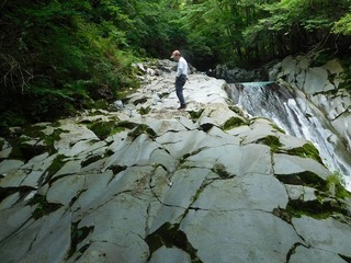 DSCN3330.jpg