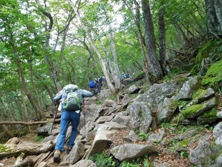 DSCN3685.jpg