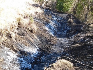 DSCN3982.jpg