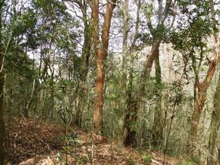 DSCN4036.jpg