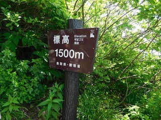 DSCN4114.jpg