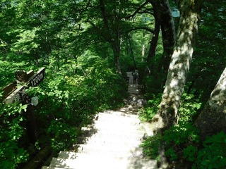 DSCN4116.jpg