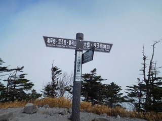 DSCN4309.jpg