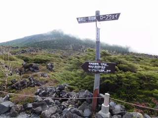 DSCN4321.jpg