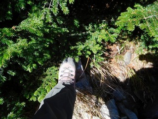 DSCN4331.jpg