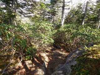 DSCN4364.jpg